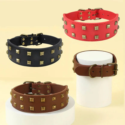 Collier Clouté Large 5cm pour Chien Robuste