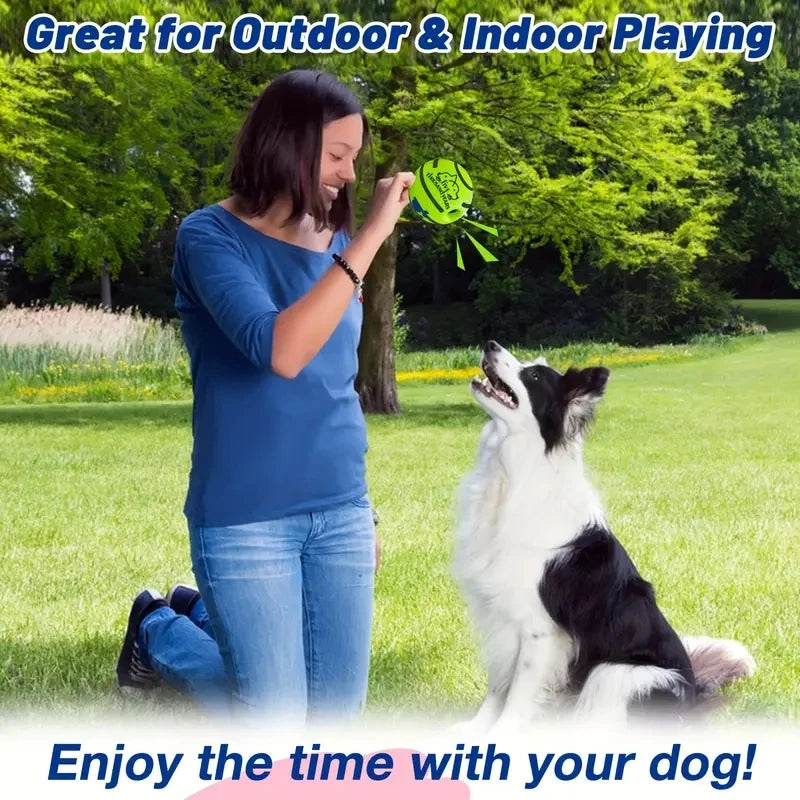 Balle Rieuse Interactive pour Chien
