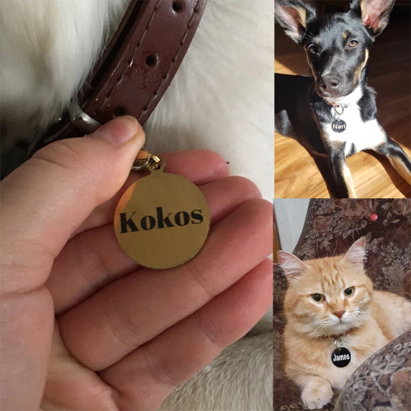 Médaille Ronde Personnalisée Gravée pour Chien et Chat
