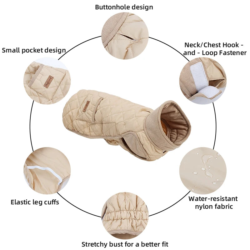 Manteau Matelassé pour Teckel