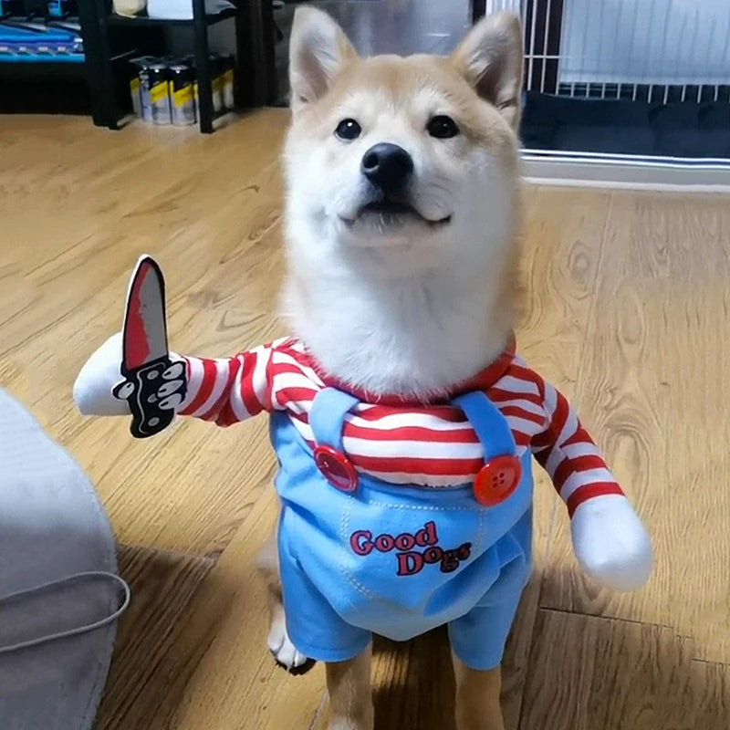 Déguisement Halloween Rayé pour Chien