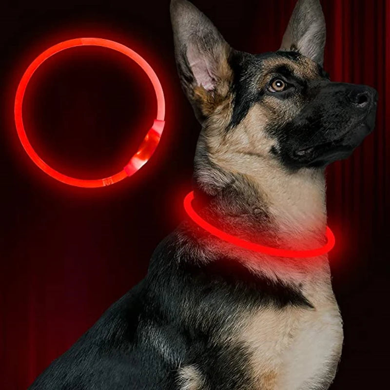 Collier LED USB Rechargeable pour Chien