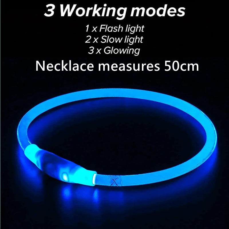 Collier LED USB Rechargeable pour Chien