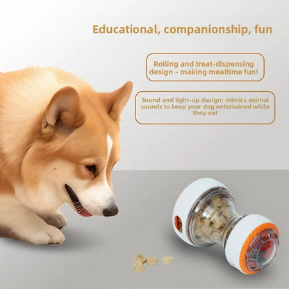 Balle Distributrice de Friandises pour Chien