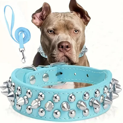 Collier Clouté avec Laisse pour Chien