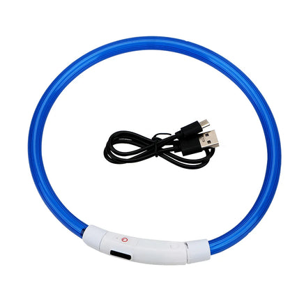 Collier LED USB Rechargeable pour Chien