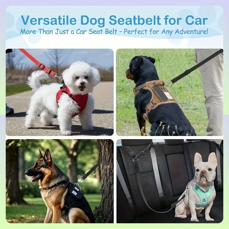 Ceinture de Sécurité Ajustable Nylon pour Chien