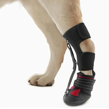 Bottes Antidérapantes Respirantes pour Chien