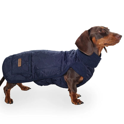 Manteau Matelassé pour Teckel