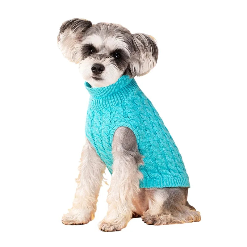 Pull Col Roulé Tricoté pour Petit Chien