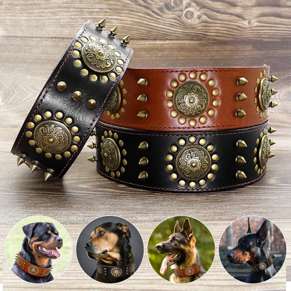 Collier Cuir Véritable Clouté 5cm pour Chien