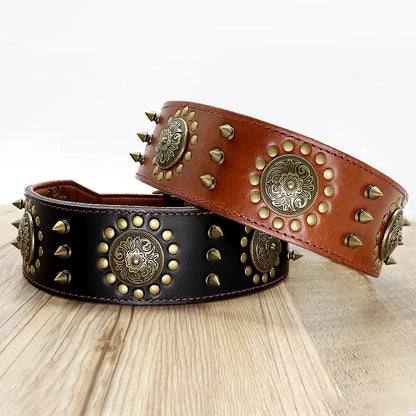 Collier Clouté en Cuir pour Chien de Grande Taille