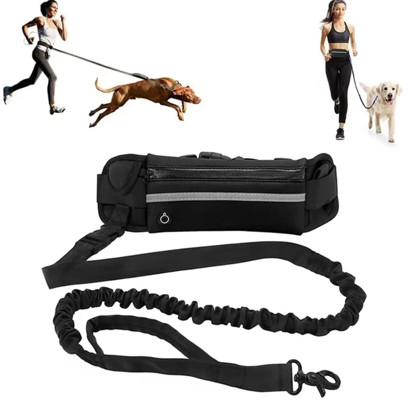 Laisse Mains-Libres avec Ceinture et Poche