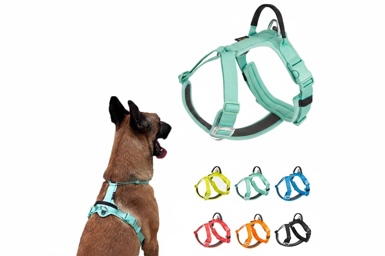 Harnais Anti-Traction Réfléchissant pour Chien
