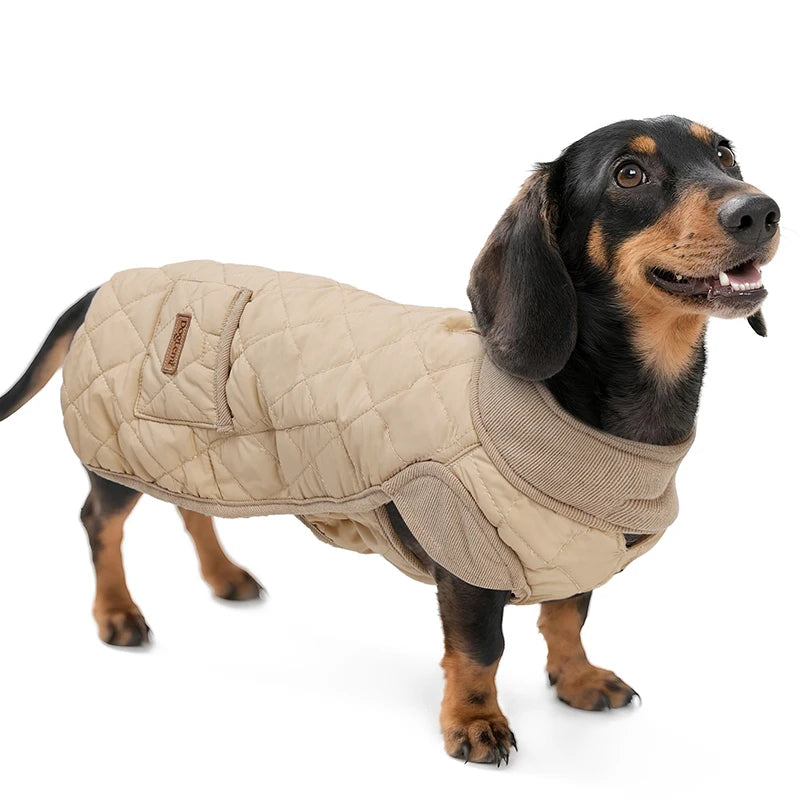 Manteau Matelassé pour Teckel