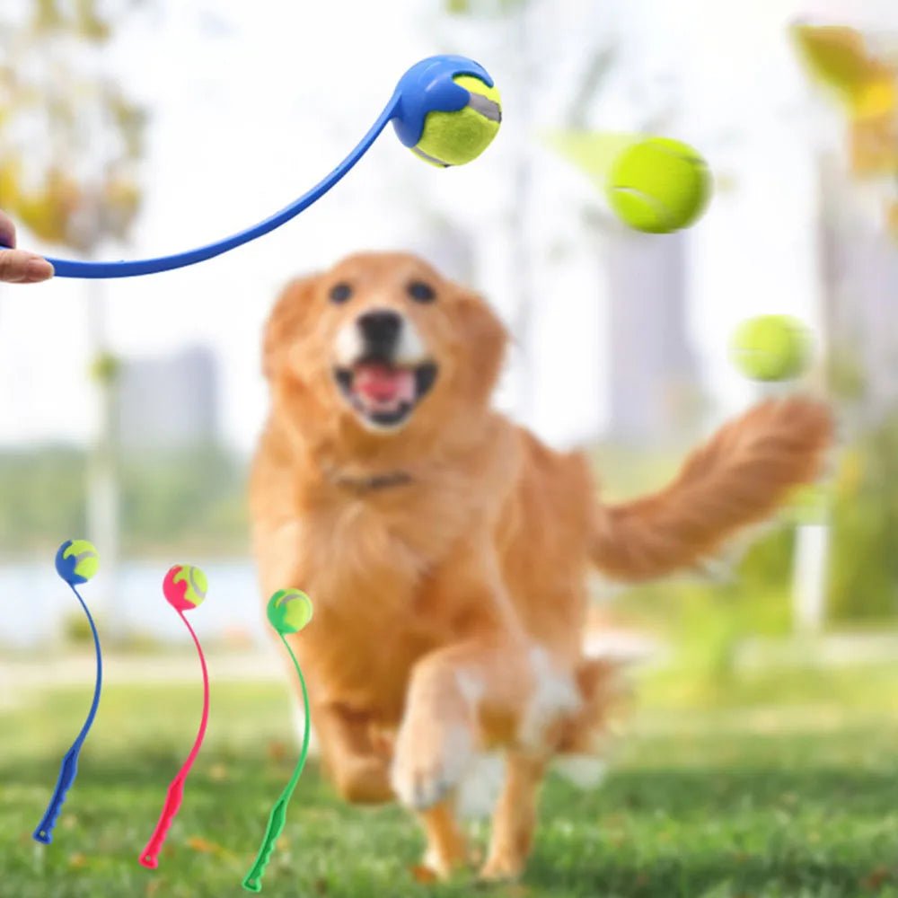 Lance-Balle Mains-Libres pour Chien
