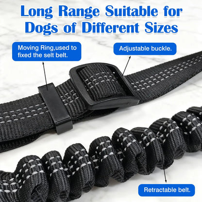 Ceinture de Sécurité Amortie Réfléchissante pour Chien