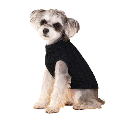 Pull Col Roulé Tricoté pour Petit Chien