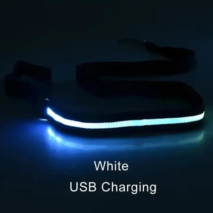 Laisse Lumineuse LED Rechargeable USB pour Chien