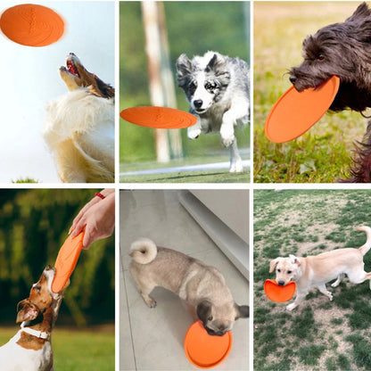 Frisbee pour Grand Chien