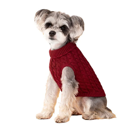 Pull Col Roulé Tricoté pour Petit Chien