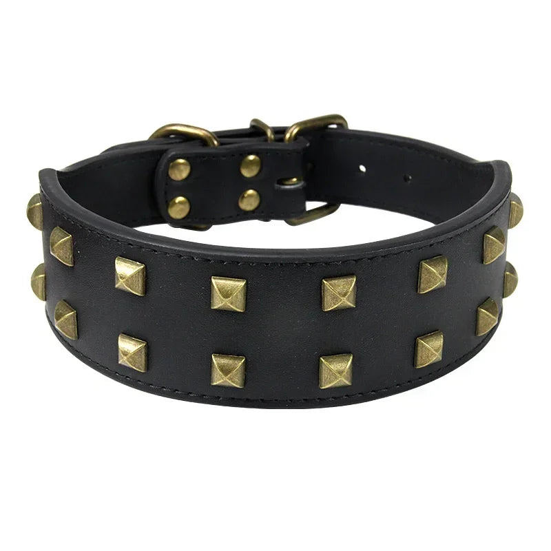 Collier Clouté Large 5cm pour Chien Robuste