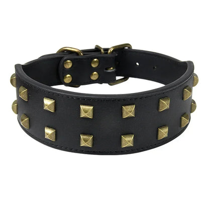 Collier Clouté Large 5cm pour Chien Robuste