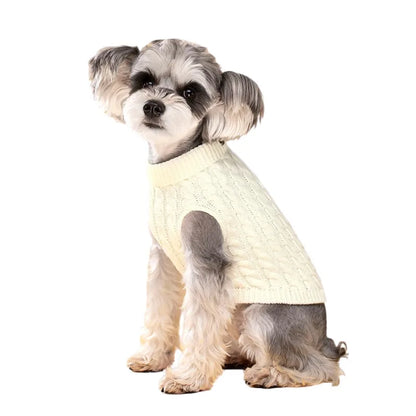 Pull Col Roulé Tricoté pour Petit Chien