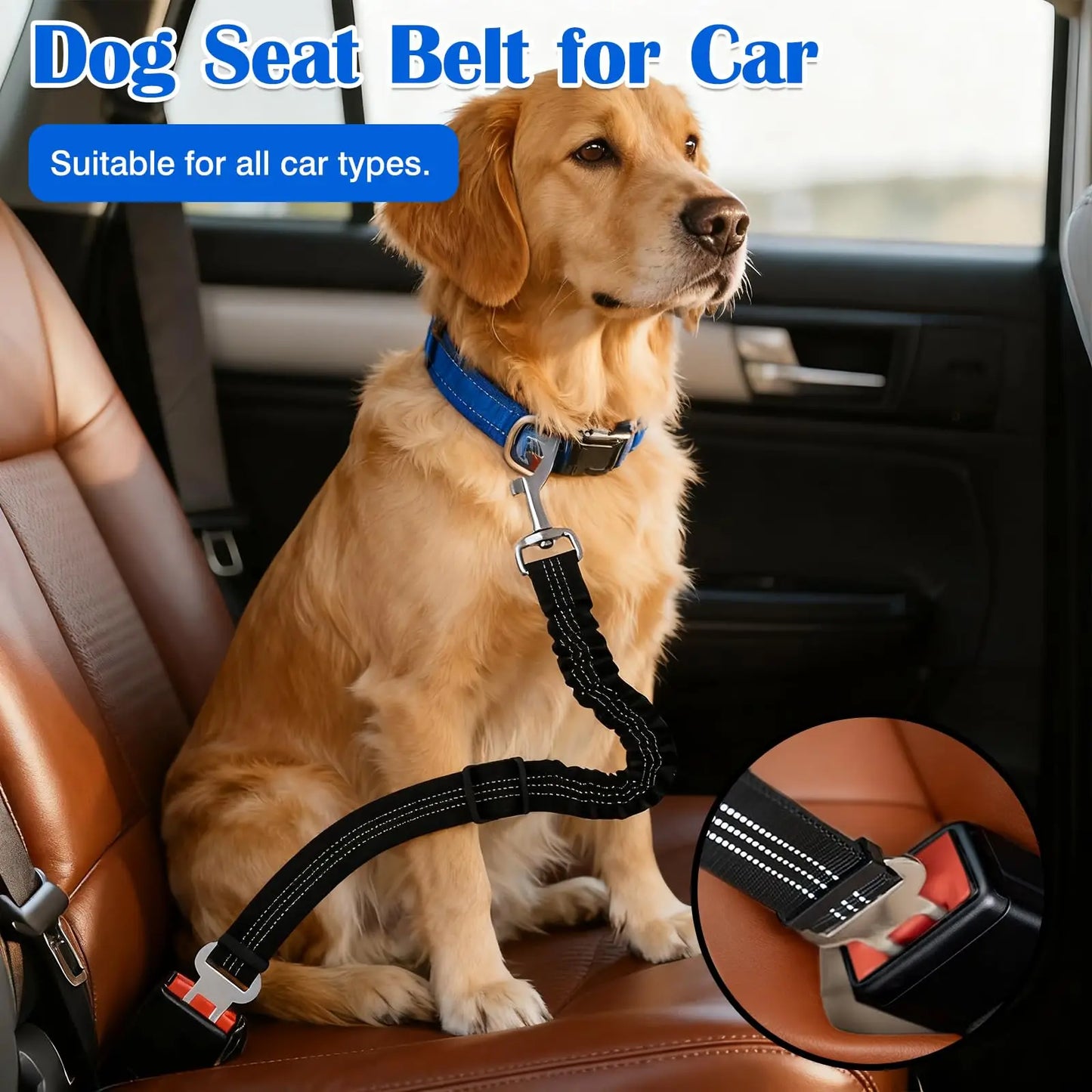 Ceinture de Sécurité Amortie Réfléchissante pour Chien