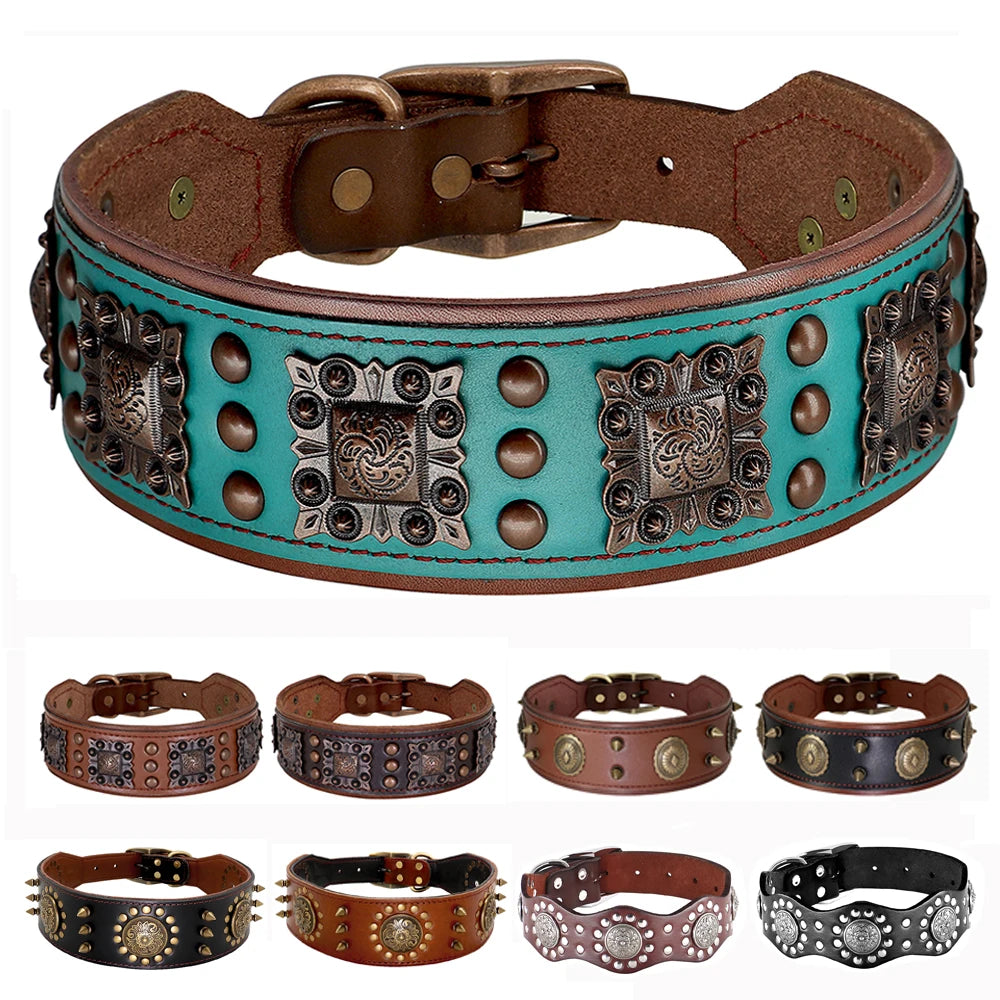 Collier Cuir Véritable Clouté 5cm pour Chien