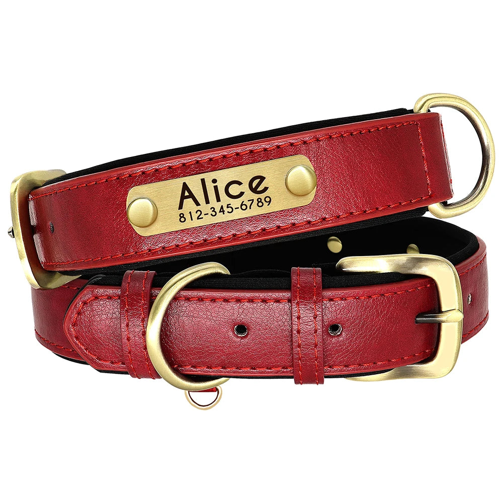 Collier Personnalisé Rembourré avec Plaque