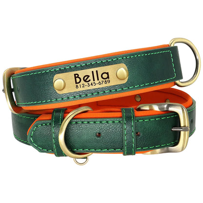Collier Personnalisé Rembourré avec Plaque