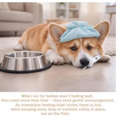 Gamelle Anti-Glouton pour Chien