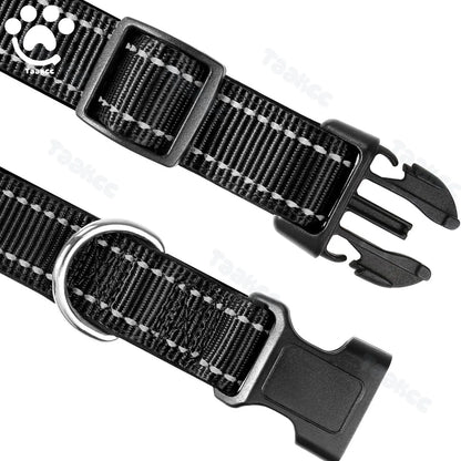 Collier Personnalisé Rembourré Réfléchissant Gravure Offerte