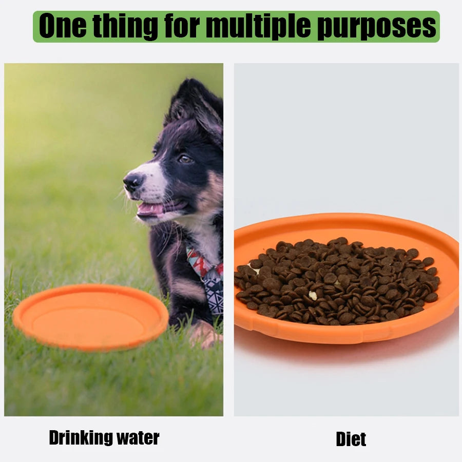 Frisbee pour Grand Chien