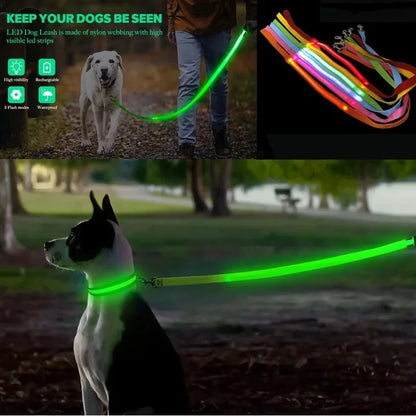 Laisse Lumineuse LED Rechargeable USB pour Chien