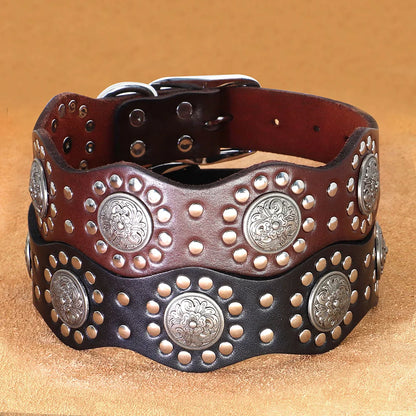 Collier Cuir Véritable Clouté 5cm pour Chien