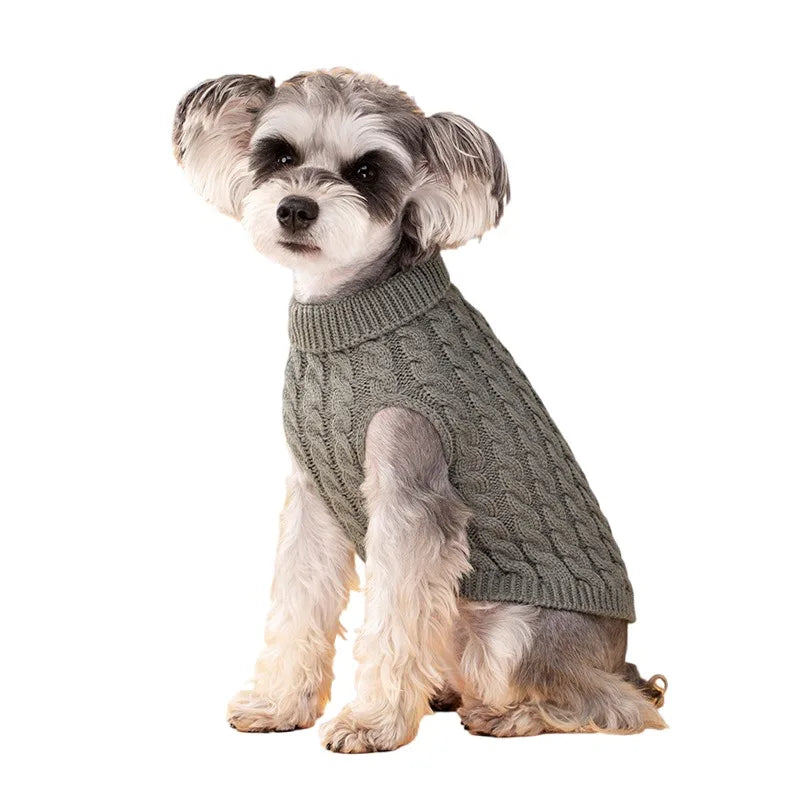 Pull Col Roulé Tricoté pour Petit Chien