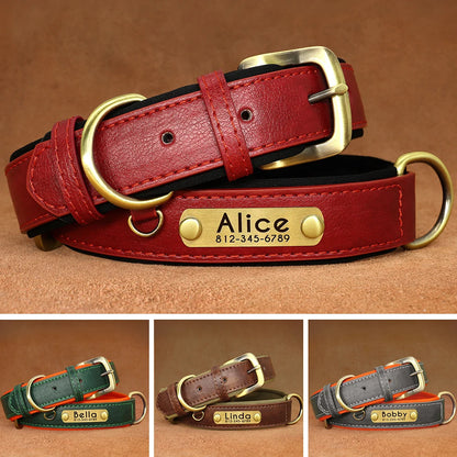 Collier Personnalisé Rembourré avec Plaque