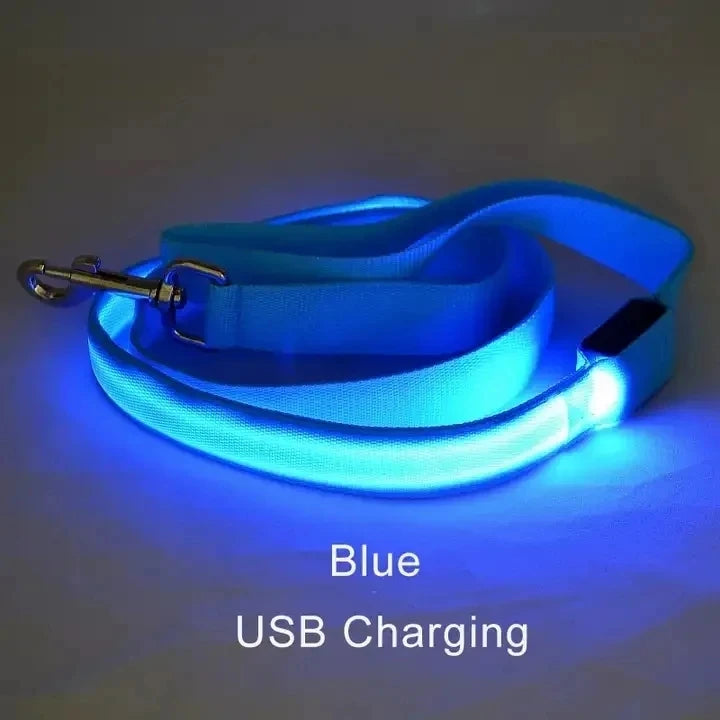 Laisse Lumineuse LED Rechargeable USB pour Chien