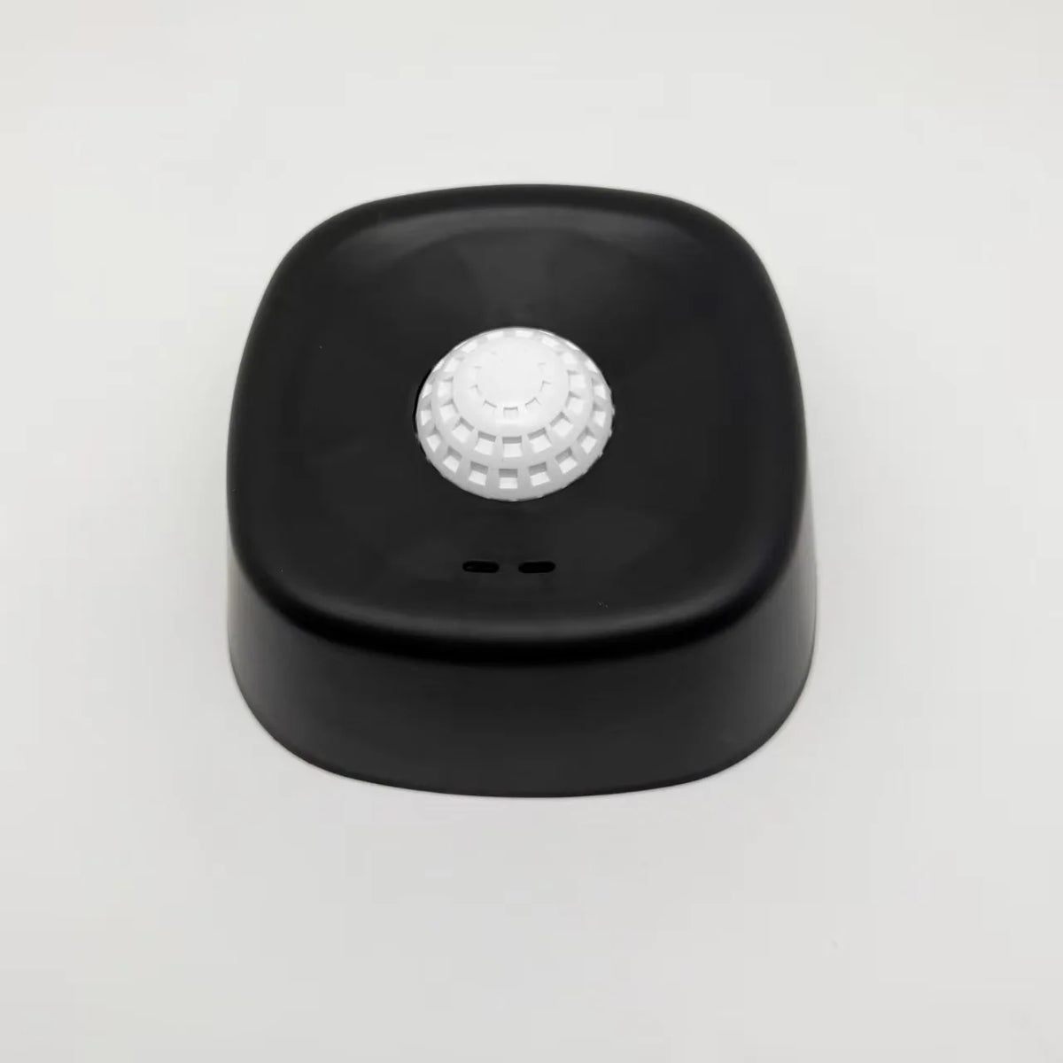 Gamelle Anti-Glouton pour Chien