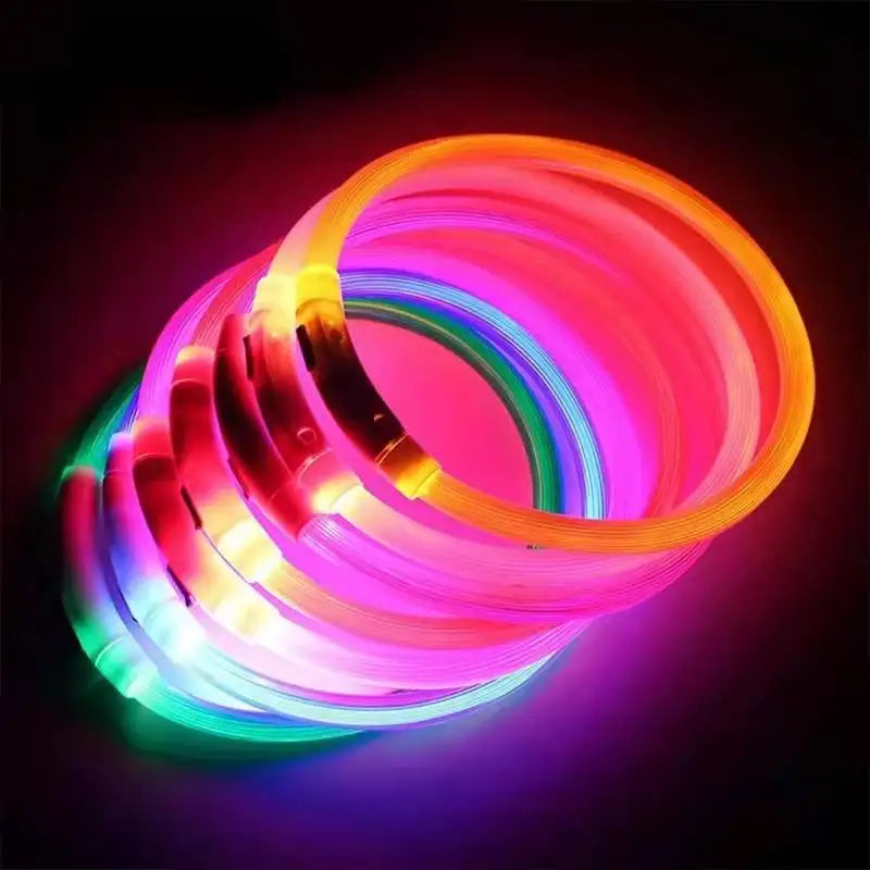 Collier LED USB Rechargeable pour Chien