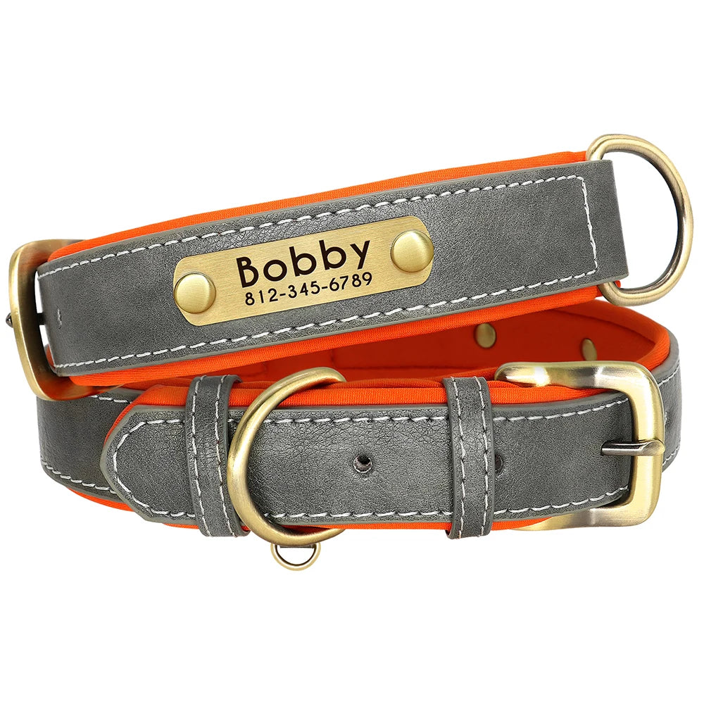 Collier Personnalisé Rembourré avec Plaque