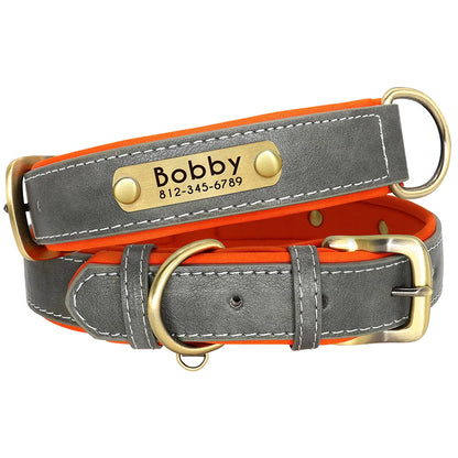 Collier Personnalisé Rembourré avec Plaque
