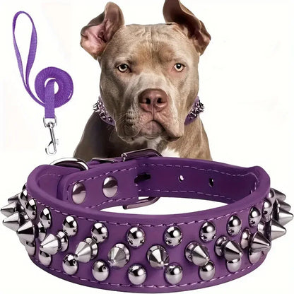 Collier Clouté avec Laisse pour Chien