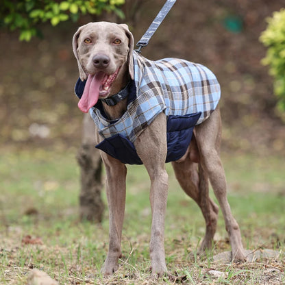 Manteau Réversible Imperméable pour Chien