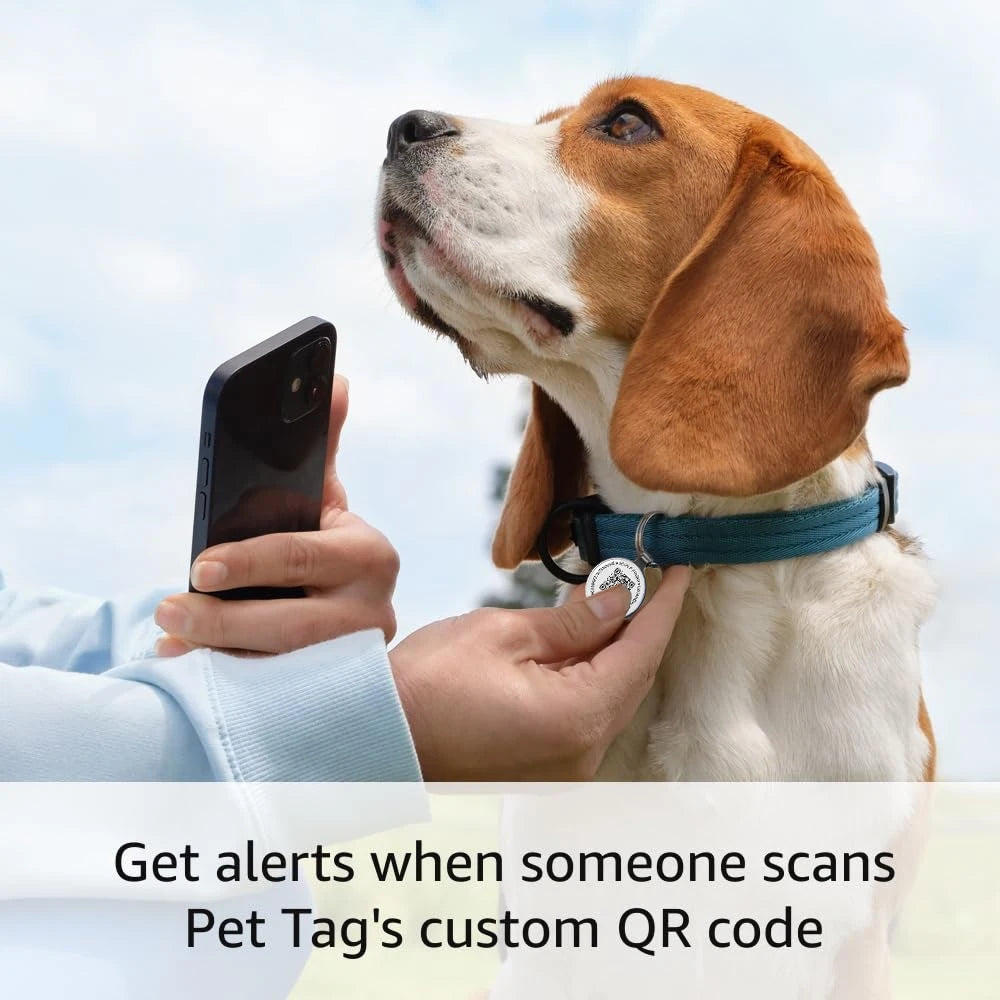 Médaille QR Code pour Chien avec Alertes en Temps Réel