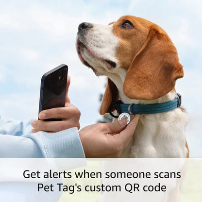Médaille QR Code pour Chien avec Alertes en Temps Réel