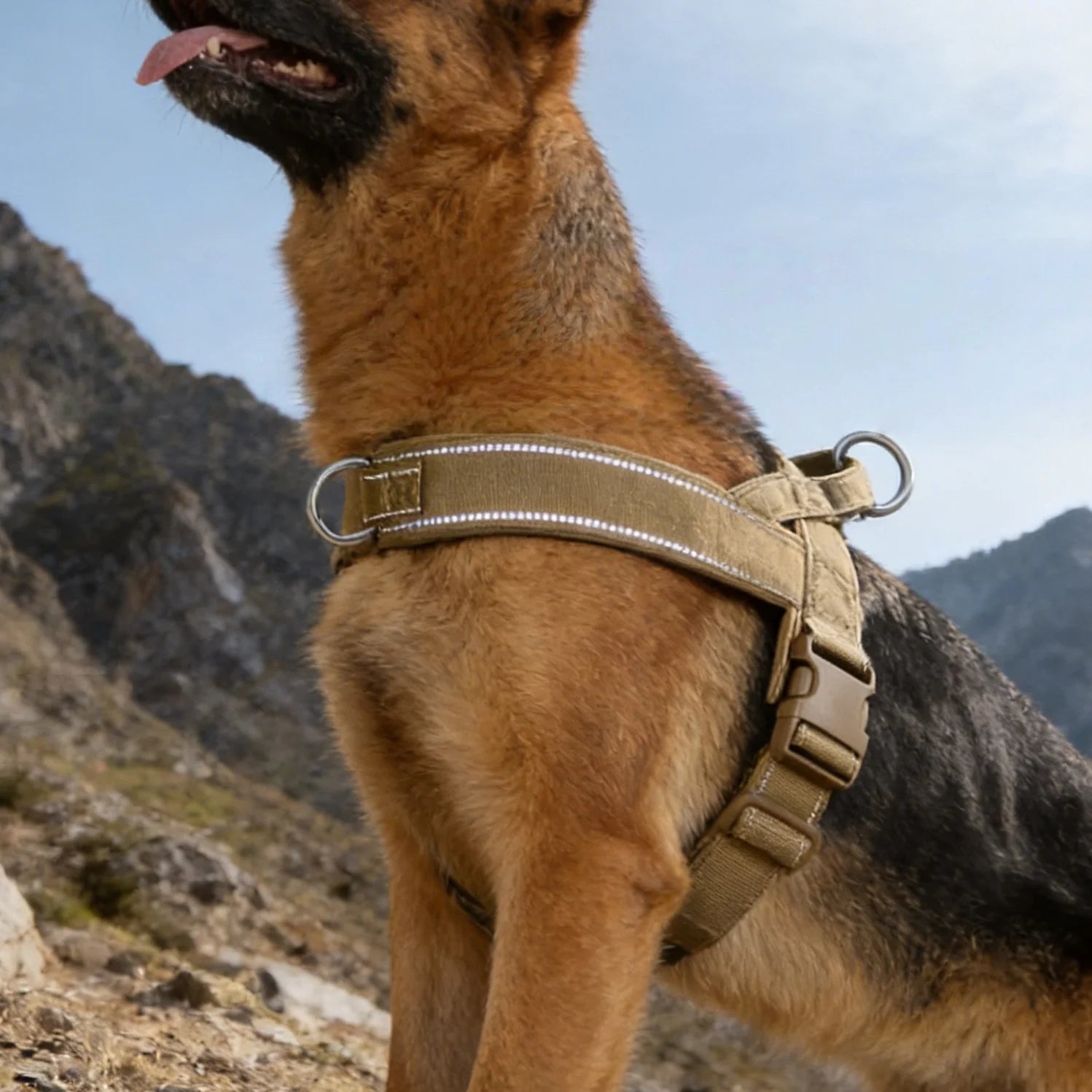 Harnais tactique anti-traction pour grand chien - vue de face
