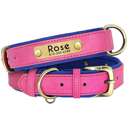 Collier Personnalisé Rembourré avec Plaque